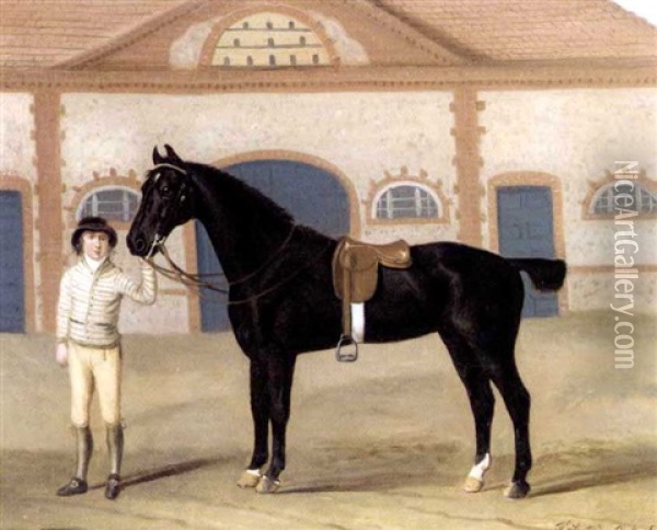A Dark Bay Hunter Held By A Groom In A Stable Yard Oil Painting - Francis Sartorius the Elder