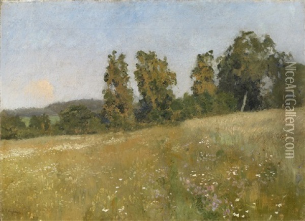 Forest Meadow Oil Painting - Isaak Levitan