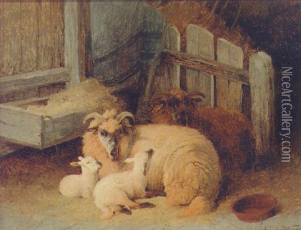 Sheep Resting In A Barn Oil Painting - Frederick E. Valter