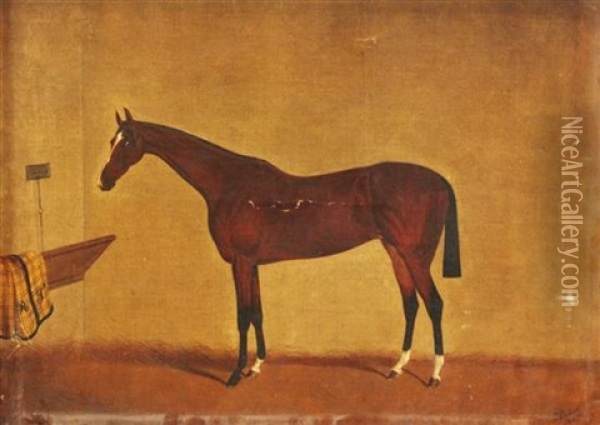 A Bay Horse In A Stable Oil Painting - Edwin (of Bath) Loder