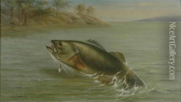 Leaping Bass Oil Painting - Arnoud Wydeveld