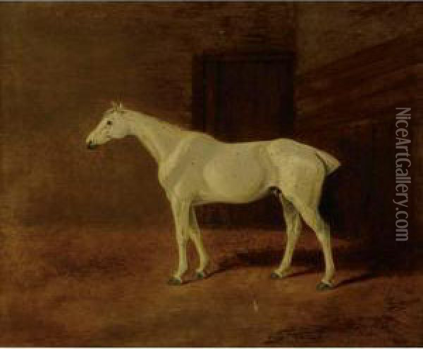 Grey Hunter In A Stable Oil Painting - William Barraud