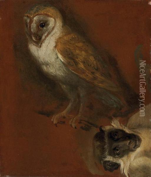 Study Of An Owl Oil Painting - Alexandre-Francois Desportes