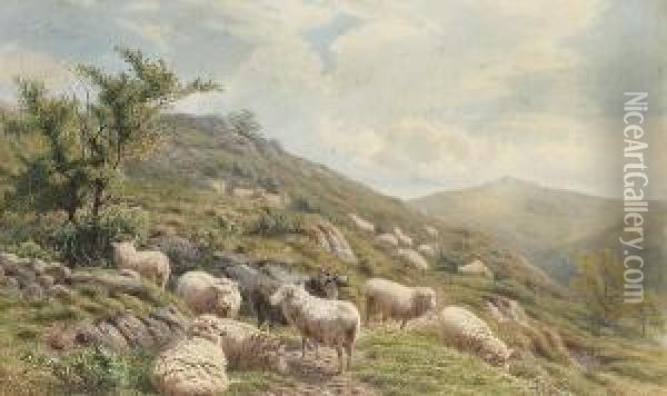 Sheep Grazing On The Hilltops Oil Painting - Henry Birtles