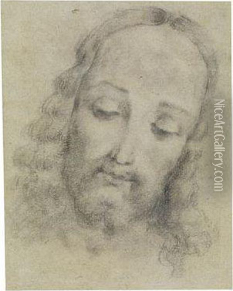 Kopfstudie Zu Christus Oil Painting - Bernardino Lanino