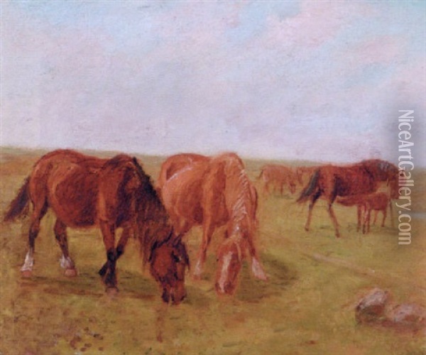 Parti Fra Saltholm Oil Painting - Theodor Philipsen