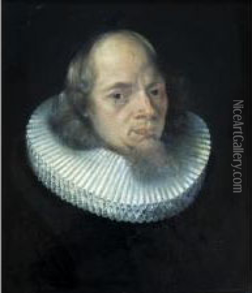 Portrait Of A Gentleman Oil Painting - Jacob Ii Van Oost