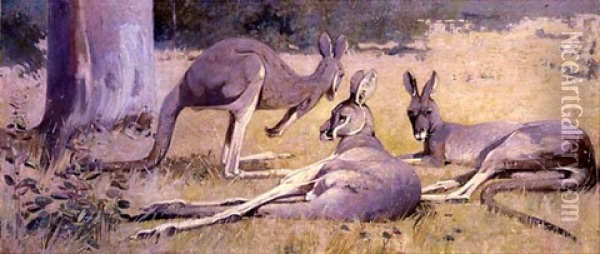 Three Grey Kangaroos Oil Painting - Henry (Harry) Glede Garlick