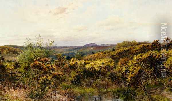 View Of Crooksbury Hill, Surrey Oil Painting - William Henry Millais