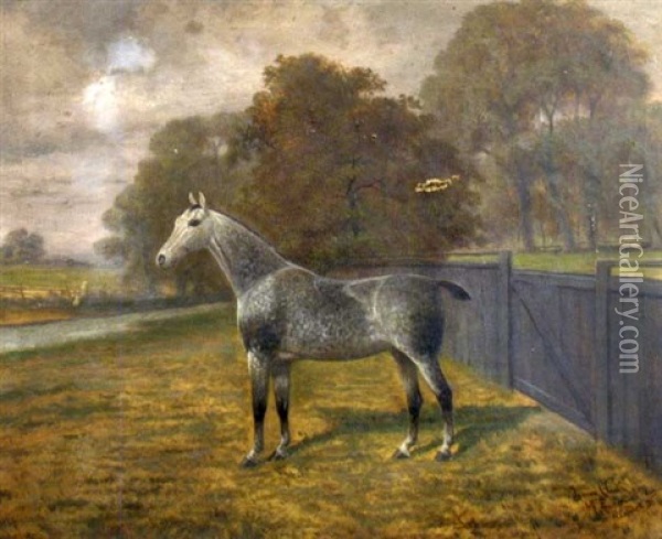 A Grey Hunter In A Landscape Oil Painting - James Clark