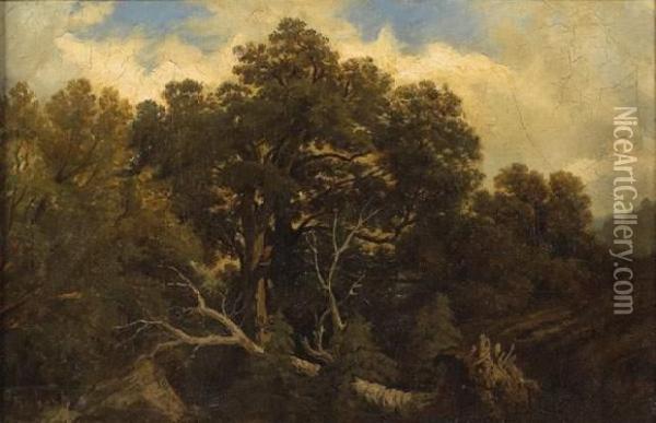 Paysage A L'arbre Deracine Oil Painting - Jean-Baptiste Louis Hubert
