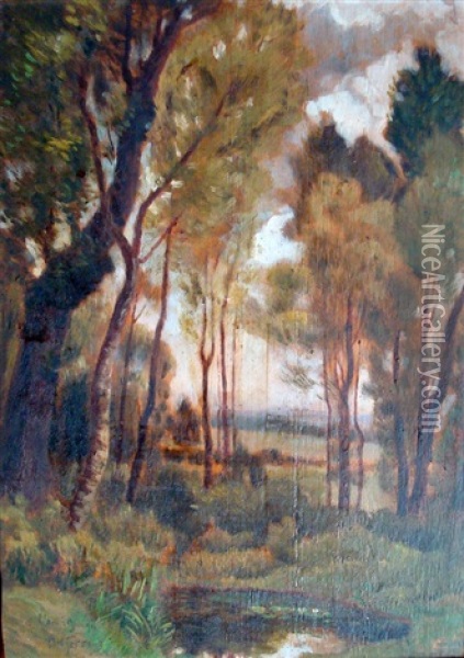 Mare Dans Les Bois Oil Painting - Antoine Jorrand