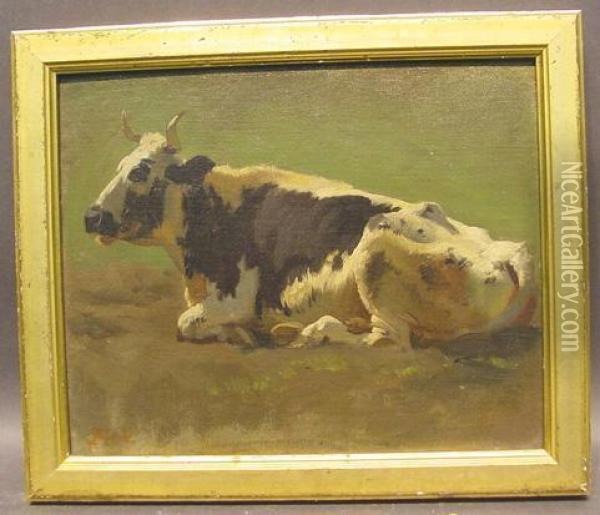 Cow At Rest Oil Painting - Friedrich Johann Voltz