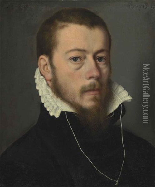 Portrait Of A Gentleman Oil Painting - Antonis Mor Van Dashorst