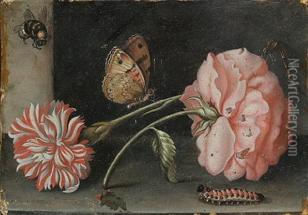 A Pink Rose And A Red And White Carnation On Astone Ledge With A Bee, A Butterfly, A Dragonfly And Acaterpillar Oil Painting - Abraham Bosschaert