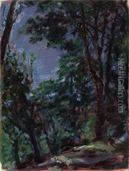 Nachtlicher Park (neukastel) Oil Painting - Max Slevogt