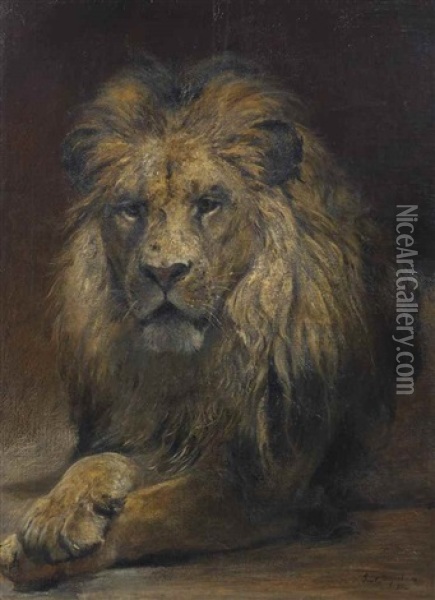 A Lion Oil Painting - Paul Friedrich Meyerheim