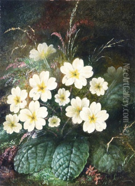 Primroses Oil Painting - Albert Durer Lucas