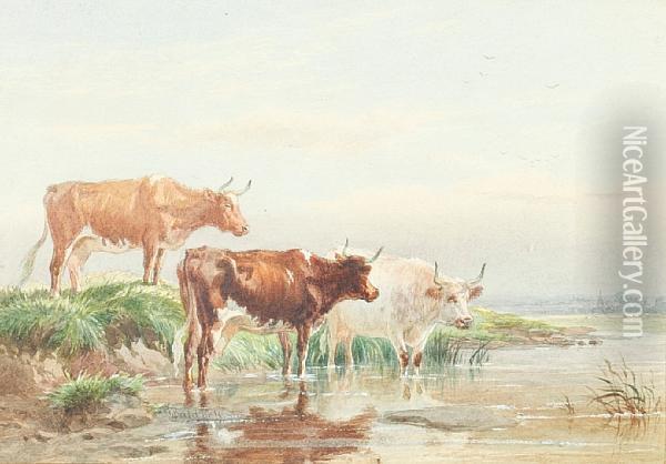 Cattle In A Pool Oil Painting - James Walsham Baldock