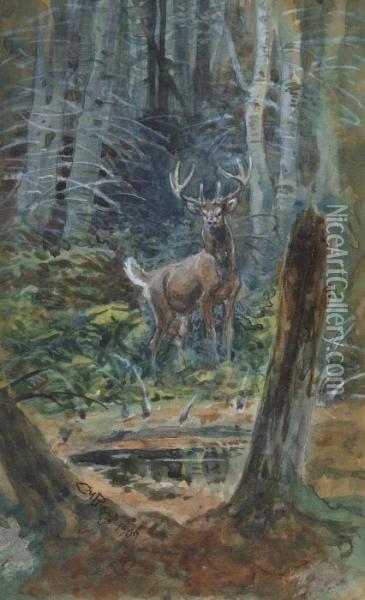 Deer In The Dell Oil Painting - Charles Marion Russell