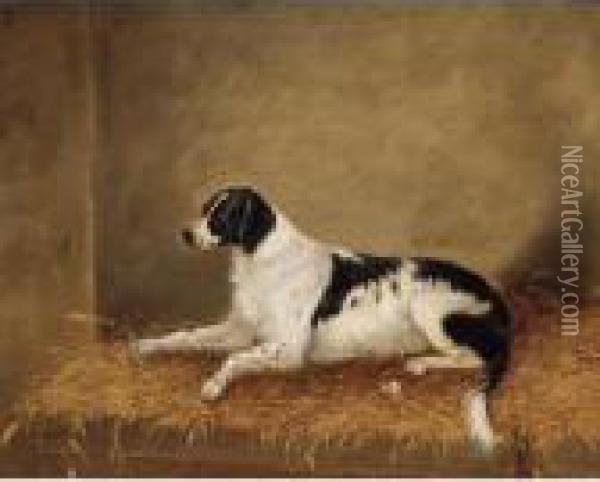 Study Of A Dog Oil Painting - W.J. Gilbert