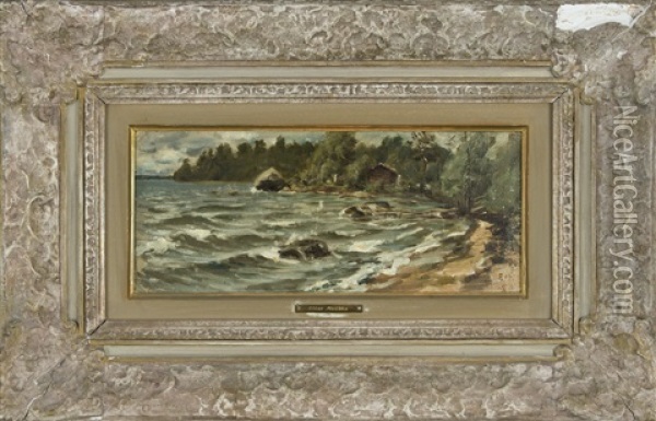 Shore Oil Painting - Elias Muukka