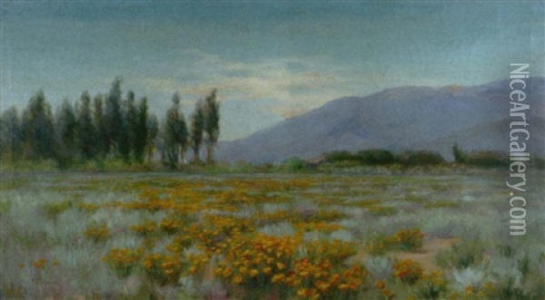 Field Of Poppies Oil Painting - Fannie Eliza Duvall