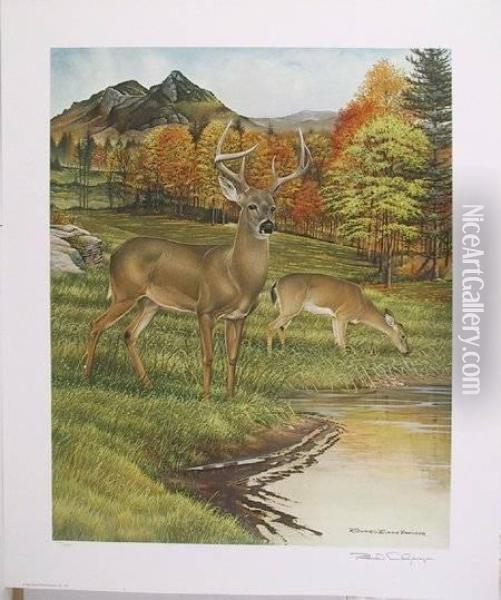 Portfolio: American Wildlife Heritage Portfolio Oil Painting - Richard Evans