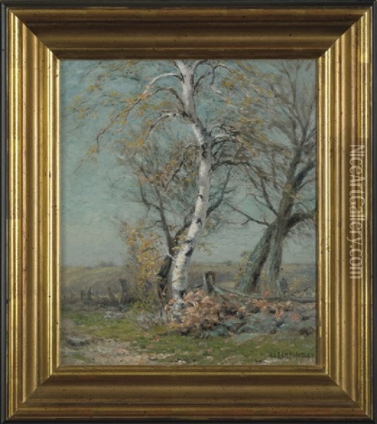 Birch By The Side Of A Road Oil Painting - Albert Babb Insley