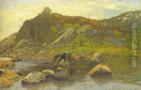 Schwedische Landschaft Mit See Oil Painting - Adolf Gustav Schweitzer