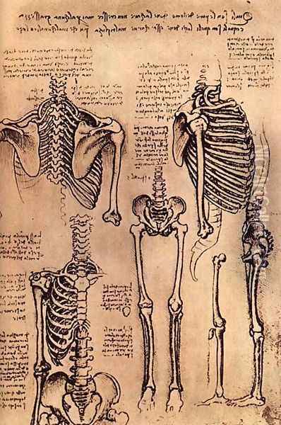 skeletons Oil Painting - Leonardo Da Vinci