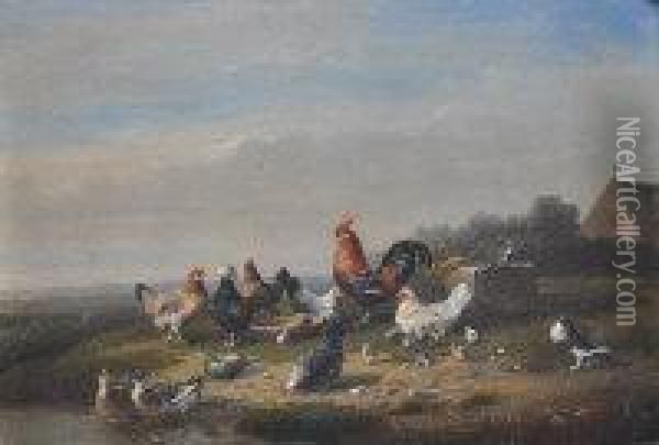 Poultry In The Farmyard Oil Painting - Franz van Severdonck