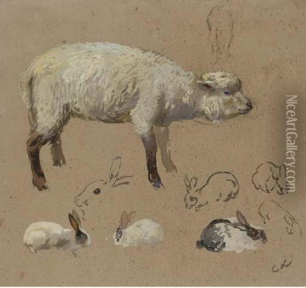 A Lamb In Profile To The Right And Seven Studies Of Rabbits Oil Painting - Carolus Lemeunier