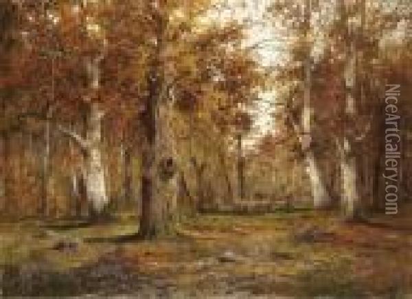 Fontainebleau -i Erdoreszlet Oil Painting - Adolf Kaufmann