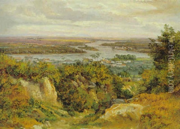 Blick Auf Die Donau Bei Nusdorf Oil Painting - Jacob Alt