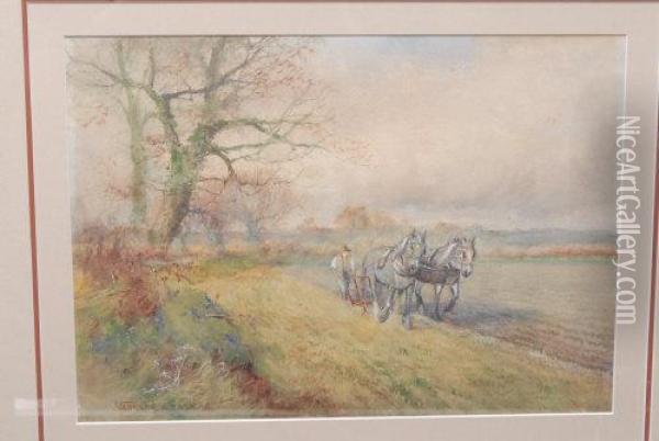 Heavy Horse In The Field Oil Painting - Henry Stannard