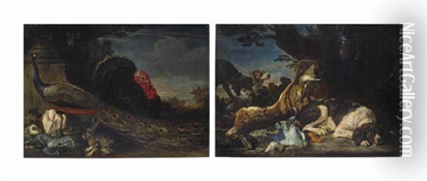 A Peacock, Wild Turkey, Hares, And Pigeons In A Garden, A Landscape Beyond; And A Hare And Game Birds With Three Dogs, A Landscape Beyond Oil Painting - David de Coninck