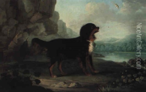 Favourite Dog In Landscape With Butterfly Oil Painting - Francis Sartorius the Elder