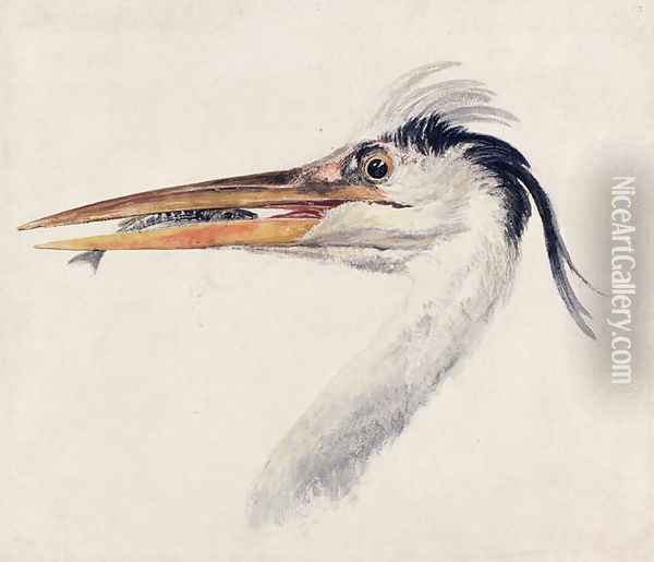 Heron with a fish Oil Painting - Joseph Mallord William Turner