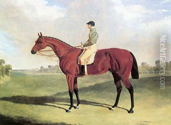 Bay Middleton With Jockey Up at Six Mile Bottom 1836 Oil Painting - John Frederick Herring Snr