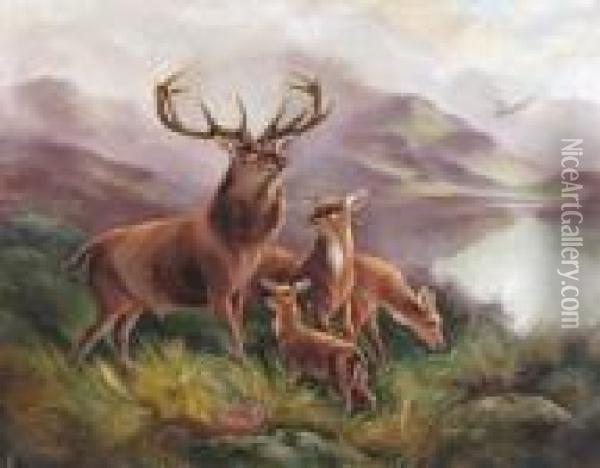 Stag And Deer By A Lake In The Highlands Oil Painting - Robert Cleminson