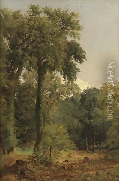 A Stand Of Trees Oil Painting - Jasper Francis Cropsey