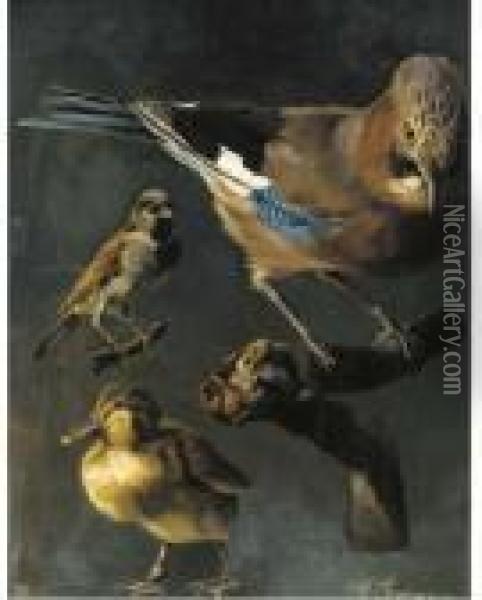 A Jay, Sparrow And Duckling Oil Painting - Emmy Marie Caroline Thornam