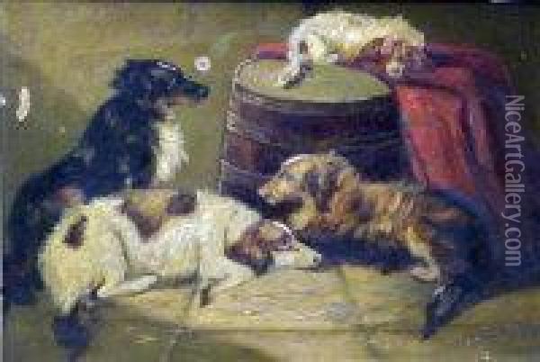 Dogs Oil Painting - George Armfield