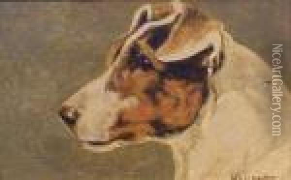 Smooth Fox Terrier Oil Painting - Herbert William Weekes