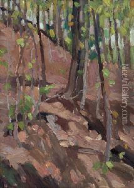 Green Wood, Algonquin Park Oil Painting - Tom Thomson
