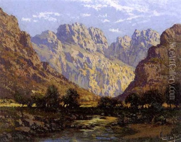 A Sunlit Mountain Kloof Oil Painting - Tinus de Jongh