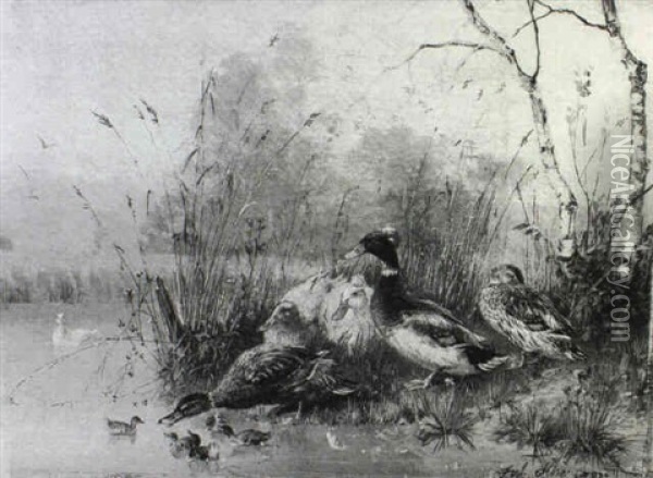 Ducks By A River Bank Oil Painting - Julius Scheuerer