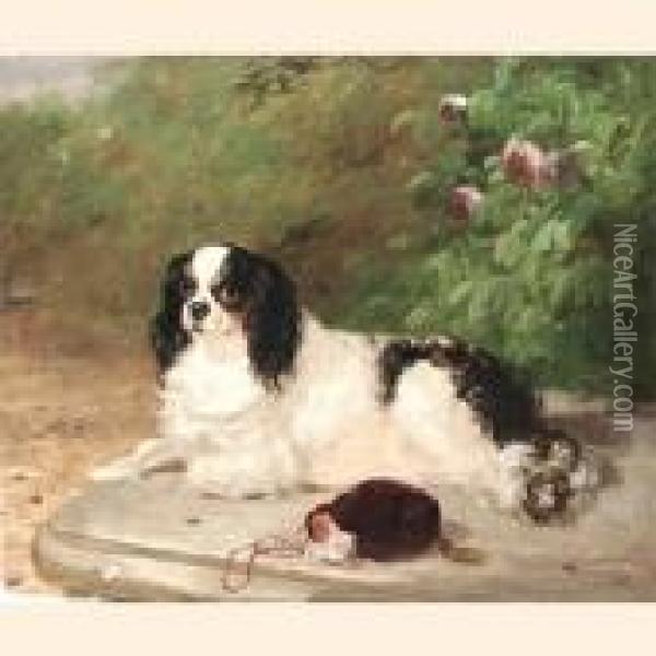 Portrait Of A King Charles Spaniel Oil Painting - Thomas Woodward