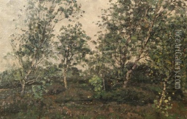 Landscape With Birches Oil Painting - Jan Adam Zandleven